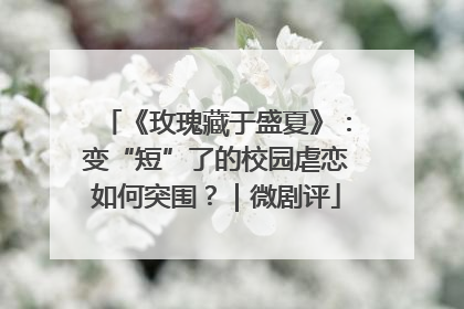 《玫瑰藏于盛夏》：变“短”了的校园虐恋如何突围？｜微剧评