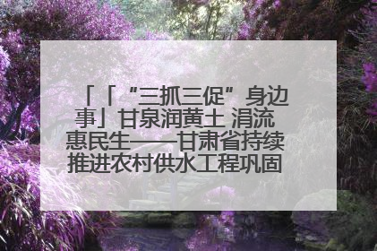 「“三抓三促”身边事」甘泉润黄土 涓流惠民生——甘肃省持续推进农村供水工程巩固提升项目建设