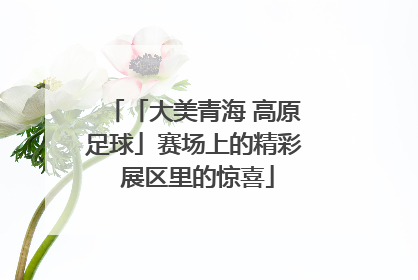 「大美青海 高原足球」赛场上的精彩 展区里的惊喜
