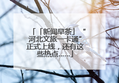「新闻早茶」“河北文旅一卡通”正式上线，还有这些热点……