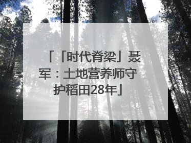 「时代脊梁」聂军：土地营养师守护稻田28年