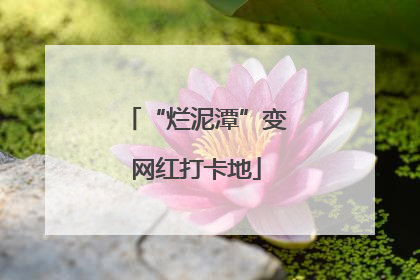 “烂泥潭”变网红打卡地