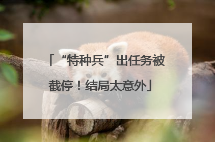 “特种兵”出任务被截停！结局太意外