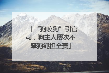 “狗咬狗”引官司，狗主人屡次不牵狗绳担全责
