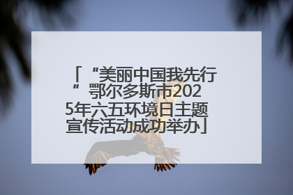 “美丽中国我先行”鄂尔多斯市2025年六五环境日主题宣传活动成功举办