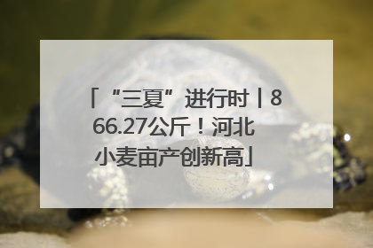 “三夏”进行时丨866.27公斤！河北小麦亩产创新高