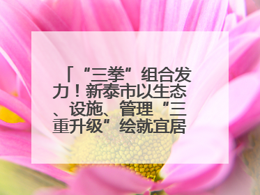 “三拳”组合发力！新泰市以生态、设施、管理“三重升级”绘就宜居新画卷