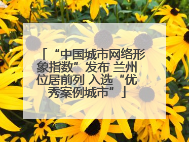 “中国城市网络形象指数”发布 兰州位居前列 入选“优秀案例城市”