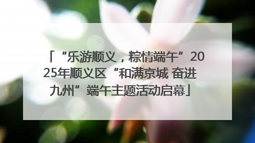 “乐游顺义，粽情端午”2025年顺义区“和满京城 奋进九州”端午主题活动启幕
