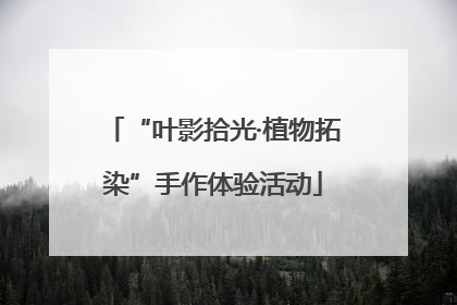 “叶影拾光·植物拓染”手作体验活动
