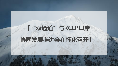 “双通道”与RCEP口岸协同发展推进会在怀化召开