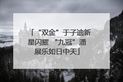 “双金”于子迪新星闪耀 “九冠”潘展乐如日中天