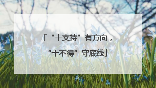 “十支持”有方向，“十不得”守底线
