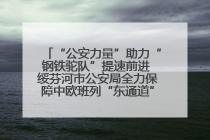 “公安力量”助力“钢铁驼队”提速前进 绥芬河市公安局全力保障中欧班列“东通道”绥芬河隧道贯通