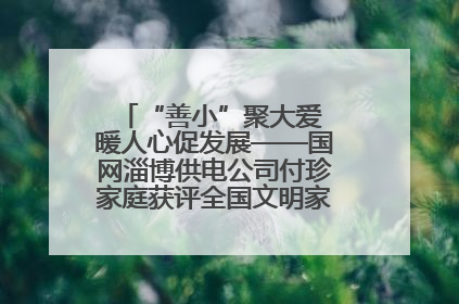 “善小”聚大爱 暖人心促发展——国网淄博供电公司付珍家庭获评全国文明家庭背后的文明密码