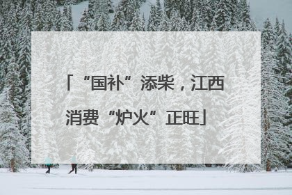 “国补”添柴，江西消费“炉火”正旺