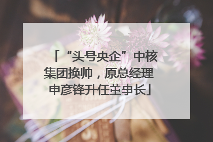 “头号央企”中核集团换帅，原总经理申彦锋升任董事长