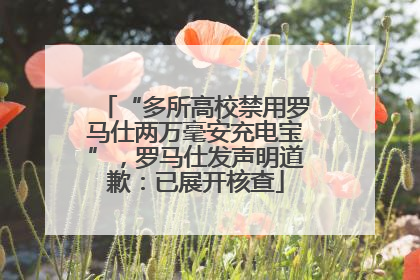 “多所高校禁用罗马仕两万毫安充电宝”，罗马仕发声明道歉：已展开核查