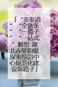 “多渠道”“全链条”“一揽子”“一站式”解纷 湖北赤壁积极探索综治中心规范化建设新路子