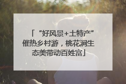 “好风景+土特产”催热乡村游，桃花涧生态美带动百姓富