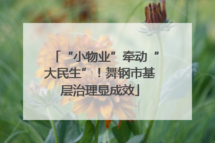“小物业”牵动“大民生”！舞钢市基层治理显成效