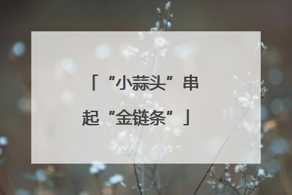 “小蒜头”串起“金链条”