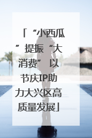 “小西瓜”提振“大消费” 以节庆IP助力大兴区高质量发展
