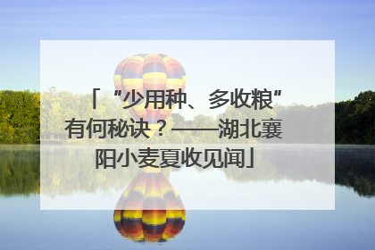 “少用种、多收粮”有何秘诀？——湖北襄阳小麦夏收见闻