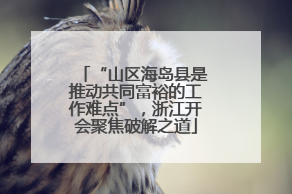 “山区海岛县是推动共同富裕的工作难点”，浙江开会聚焦破解之道