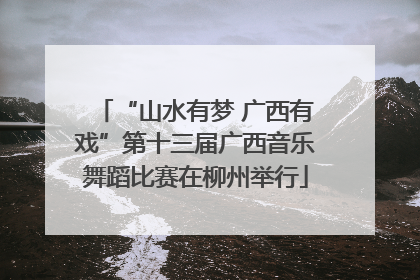 “山水有梦 广西有戏”第十三届广西音乐舞蹈比赛在柳州举行