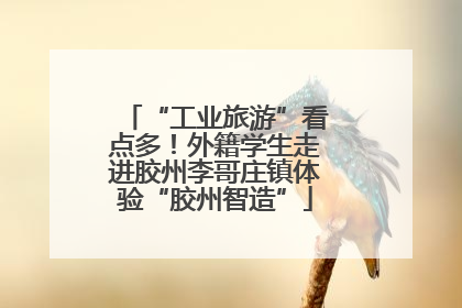 “工业旅游”看点多！外籍学生走进胶州李哥庄镇体验“胶州智造”