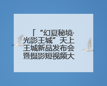 “幻夏秘境·光影王城”天上王城新品发布会暨摄影短视频大赛启幕