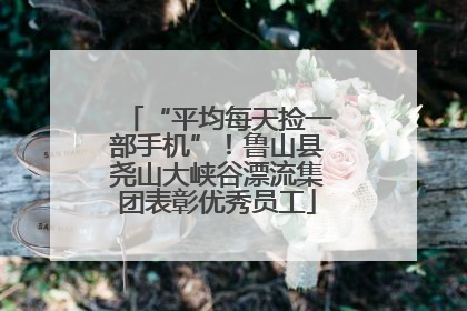 “平均每天捡一部手机”！鲁山县尧山大峡谷漂流集团表彰优秀员工