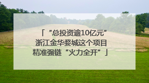 “总投资逾10亿元” 浙江金华婺城这个项目精准强链“火力全开”