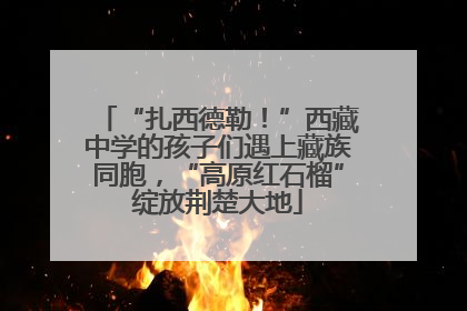 “扎西德勒！”西藏中学的孩子们遇上藏族同胞，“高原红石榴”绽放荆楚大地