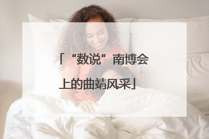“数说”南博会上的曲靖风采