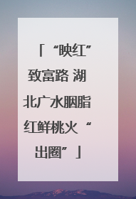 “映红”致富路 湖北广水胭脂红鲜桃火“出圈”