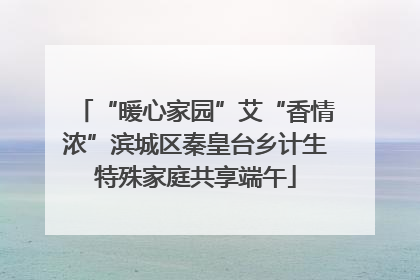 “暖心家园”艾“香情浓”滨城区秦皇台乡计生特殊家庭共享端午