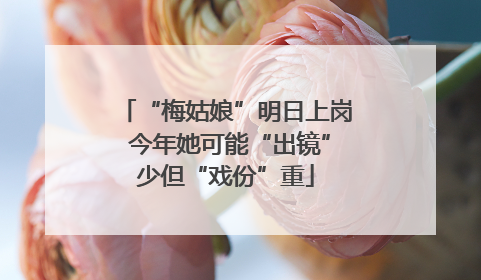 “梅姑娘”明日上岗 今年她可能“出镜”少但“戏份”重