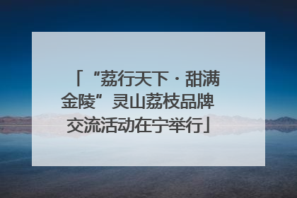 “荔行天下・甜满金陵”灵山荔枝品牌交流活动在宁举行