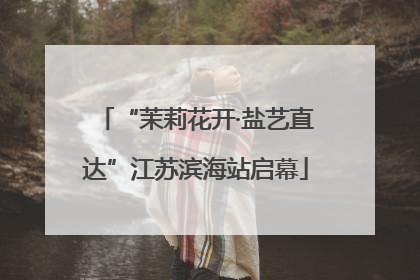 “茉莉花开·盐艺直达”江苏滨海站启幕