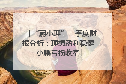“蔚小理”一季度财报分析：理想盈利稳健 小鹏亏损收窄