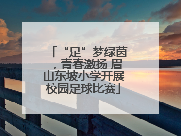 “足”梦绿茵，青春激扬 眉山东坡小学开展校园足球比赛