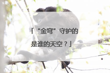 “金穹”守护的是谁的天空？