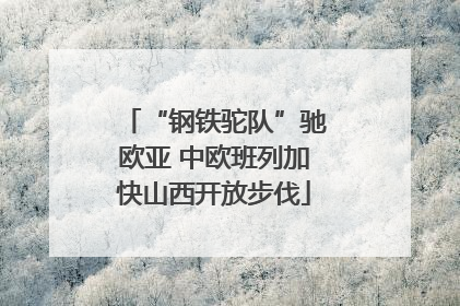 “钢铁驼队”驰欧亚 中欧班列加快山西开放步伐