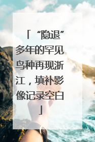 “隐退”多年的罕见鸟种再现浙江，填补影像记录空白