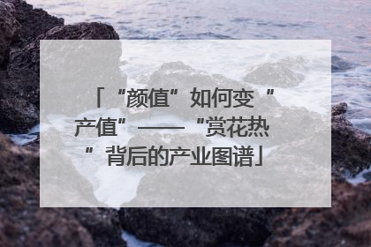 “颜值”如何变“产值”——“赏花热”背后的产业图谱
