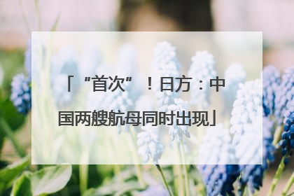 “首次”！日方：中国两艘航母同时出现