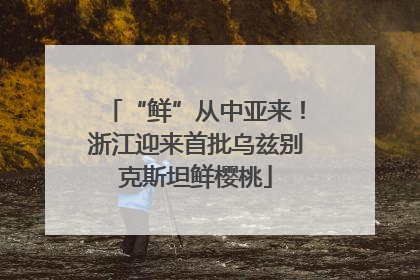 “鲜”从中亚来！浙江迎来首批乌兹别克斯坦鲜樱桃