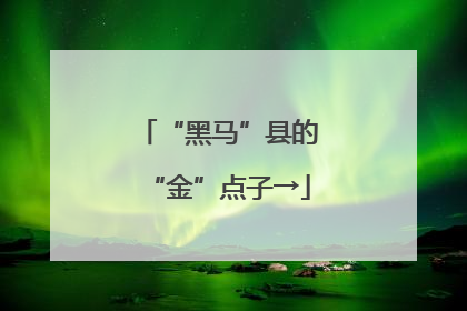 “黑马”县的“金”点子→
